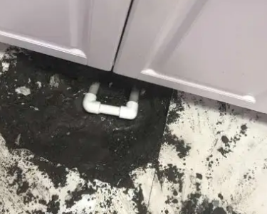 怀集查漏水哪家好